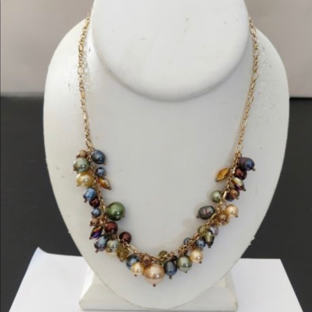 Premier Designs Necklace